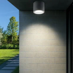 Faretto da esterno a soffitto cilindro grigio led 12w 4000k ip65