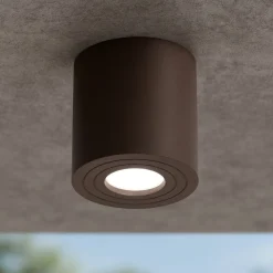 Faretto da esterno per soffitto cilindro marrone gea luce