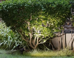 Faretto nero con picchetto da terra per giardino orientabile