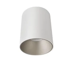 Faretto da soffitto cilindro metallo bianco argento