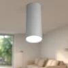 Faretto da soffitto cilindro grigio per cucina