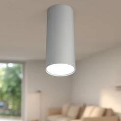 Faretto da soffitto cilindro grigio per cucina