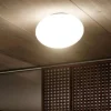 Linea light oh! smash s65 plafoniera da esterno sfera bianca ip65