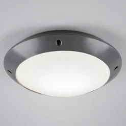 Plafoniera da esterno antracite rotonda