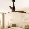 Ventilatore silenzioso nero 18mq da soffitto a pale marrone
